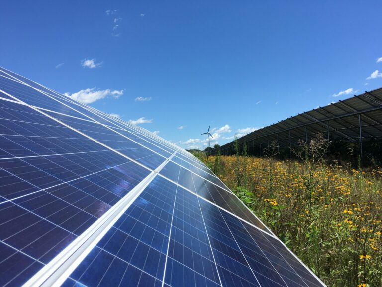 The Fairbault Community Solar project, located just east of Faribault, Minnesota. Credit: Cooperative Energy Futures