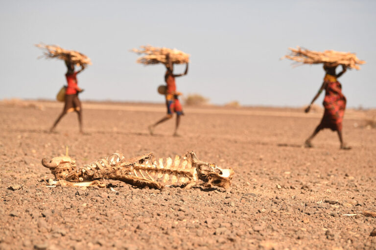 A carcass of a cow is pictured as women carrying firewood walk in the background, in the area of Loiyangalani, Marsabit, northern Kenya, on July 12, 2022. Credit: Simon Maina/AFP via Getty Images