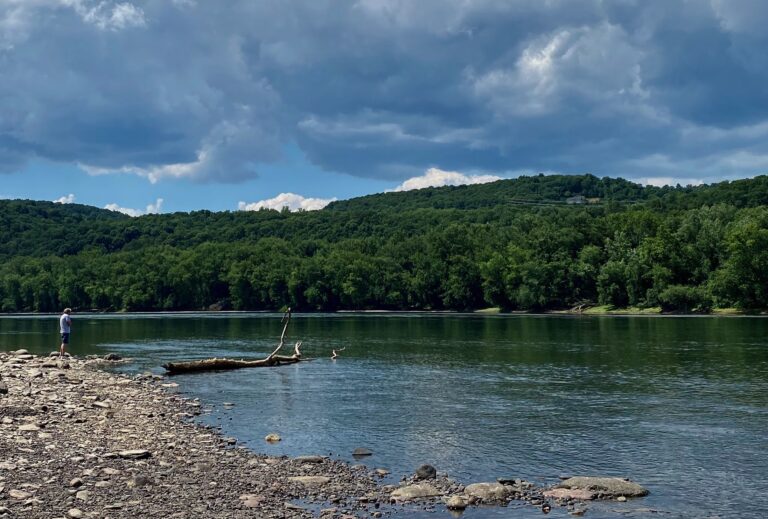 A man walks along the Susquehanna River near the proposed Encina plastics recycling plant looking for a fishing spot in the summer of 2022. Credit: James Bruggers