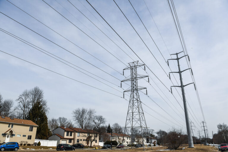 Long Island Power Authority power lines along Motor Lane in Bethpage, New York on March 8, 2019. Credit: Steve Pfost/Newsday RM via Getty Images