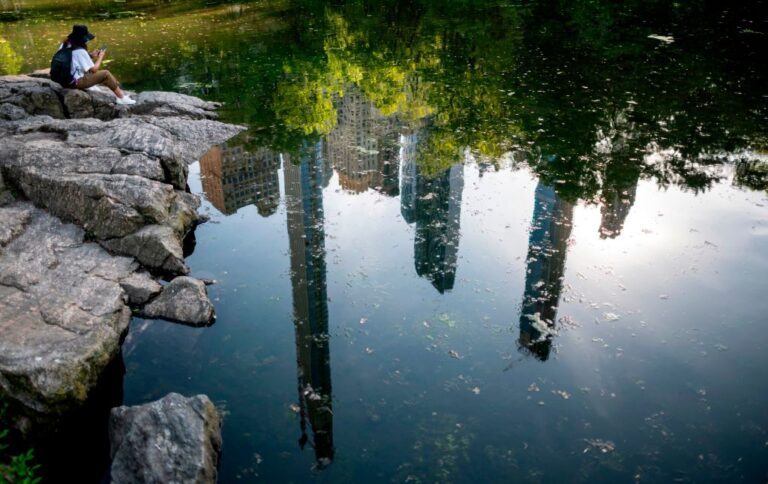 Pond