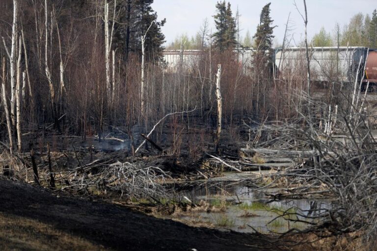 Wildfires