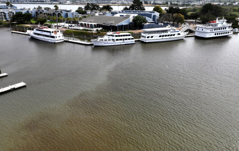 Algal Bloom in San Francisco