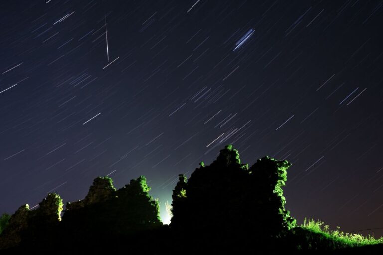 Perseid meteor
