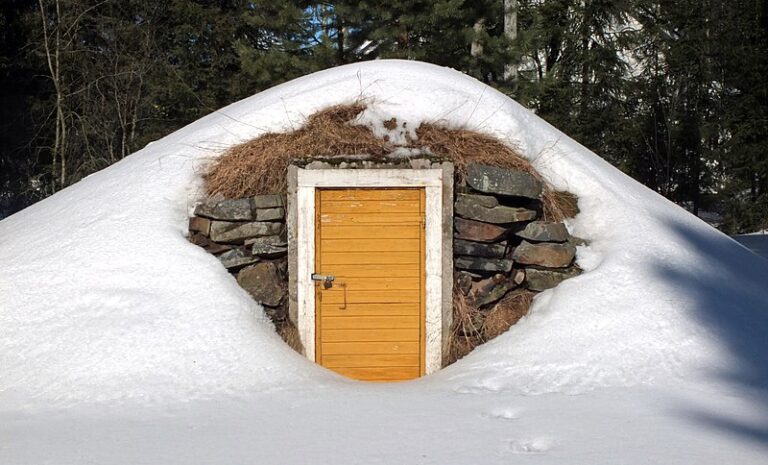 Root Cellars: Sustainable Storage Solution for Root Crops During Winter