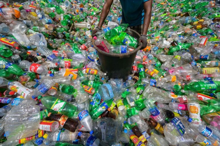 Plastic pollution