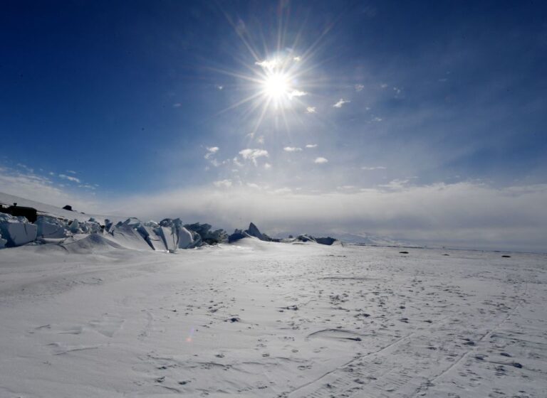Antarctica