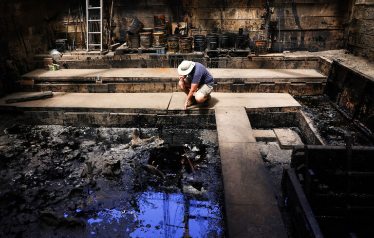 15 Canada Geese Land in La Brea Tar Pits, Severe Burns Kill 13