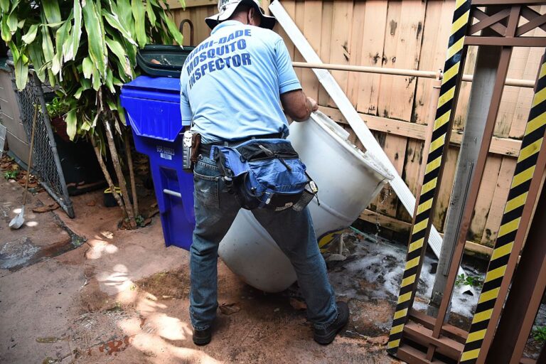 Dengue in Florida Nearing 200 Cases This Year with 10 Not From State