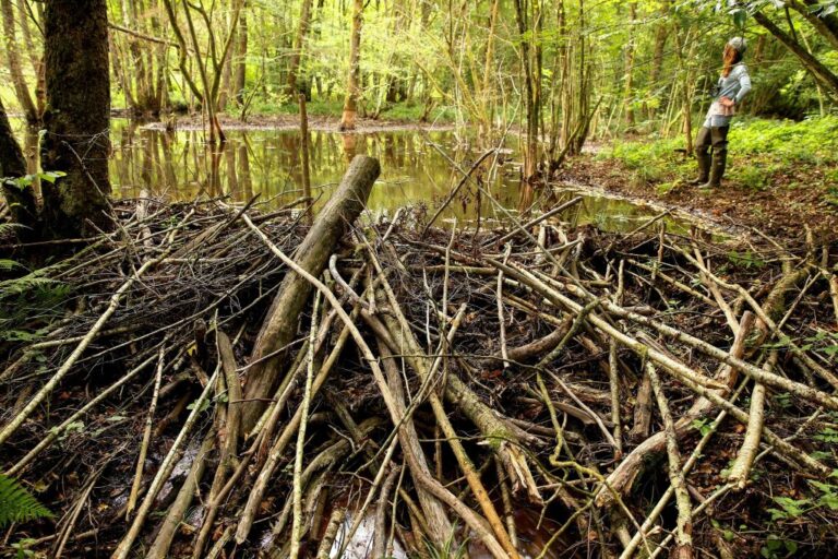 FRANCE-ENVIRONMENT-CONSERVATION