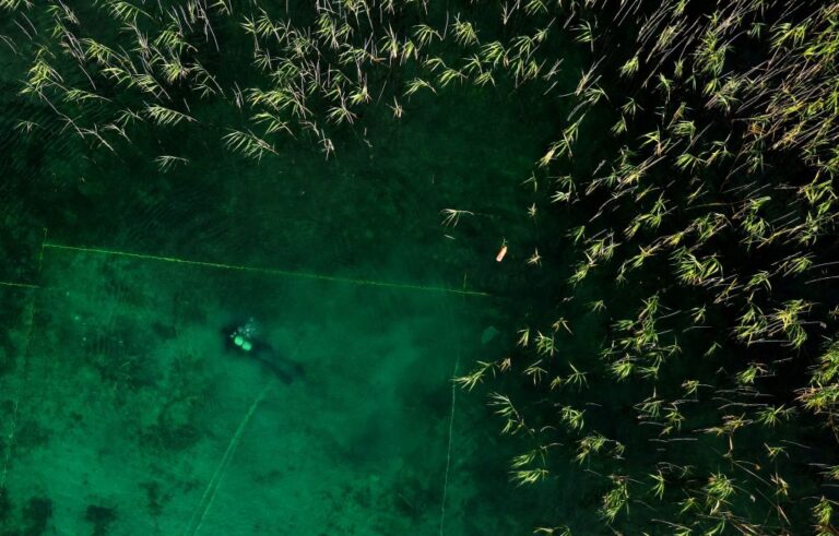 Ancient Village on Stilts Found Under Oldest Lake in Albania Has 100,000 Spikes for Defense