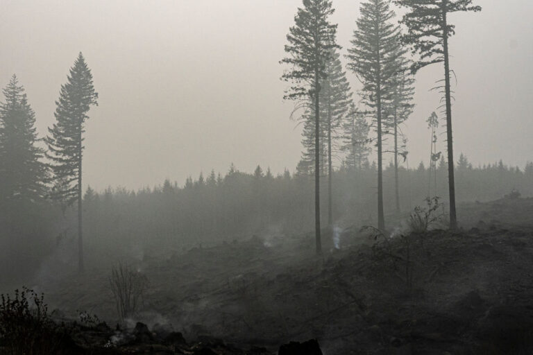 A stock photo of wildfires in Estacada, Oregon, in 2020.