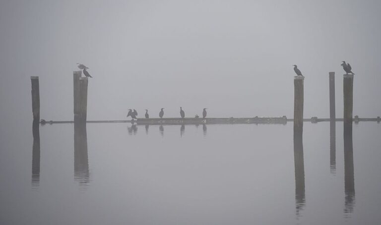 A stock photo of Baltic Sea.