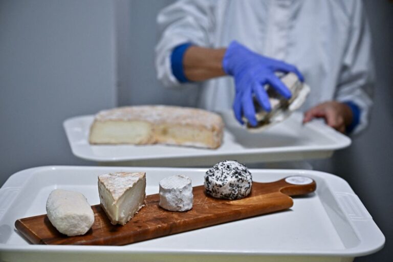 The Science Behind Stinky Cheese: Is It as Bad For Your Health?