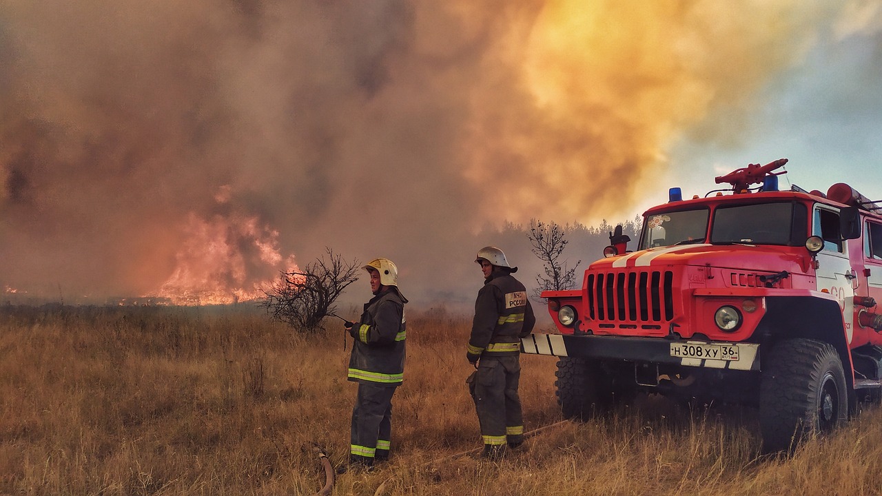 Wildfire Blaze