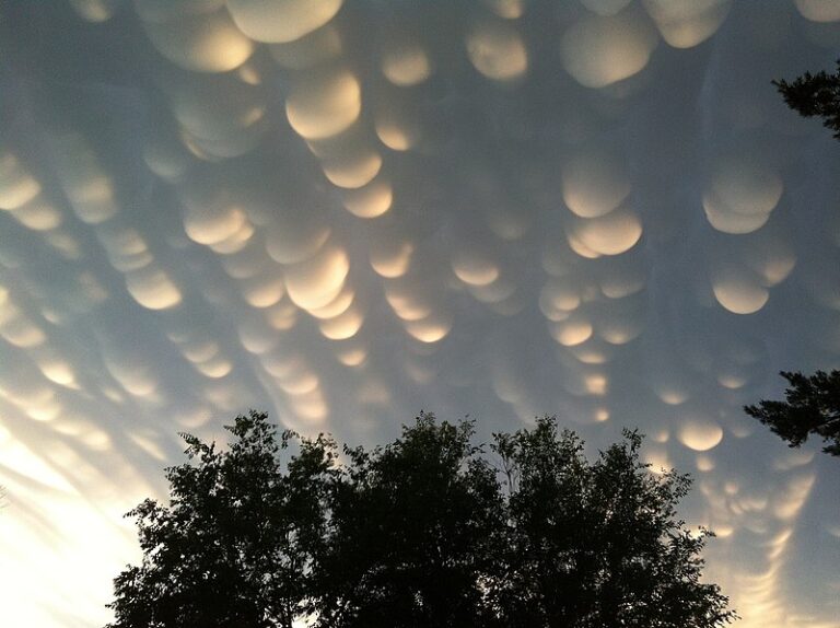 Uncovering the Meteorological Mystery of Mammatus Clouds