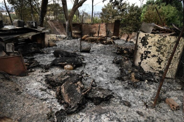 Incendies de forêt en Grèce