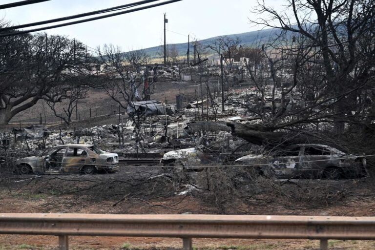 Des conditions météorologiques extrêmes et meurtrières comme la canicule, les inondations et les incendies de forêt deviendront la « norme » d’ici une décennie, préviennent les experts