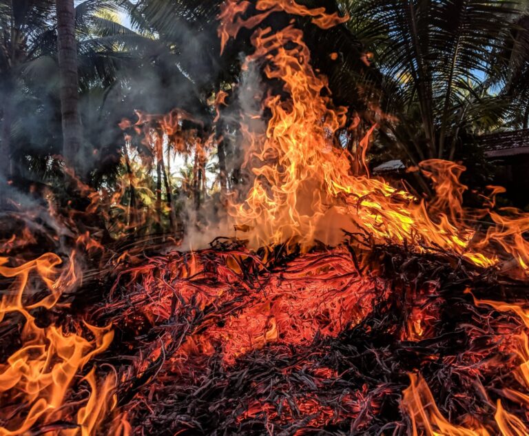 Incendies de forêt au Portugal : les municipalités sont exposées à un risque maximal alors que la flambée des températures se poursuit
