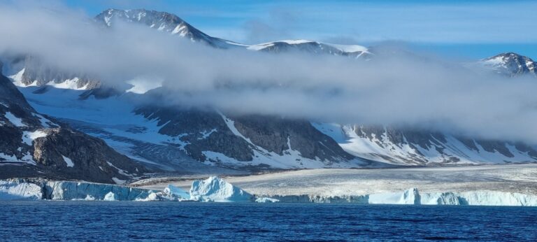 La banquise de l'Antarctique diminue pour atteindre un niveau record au milieu de la crise climatique