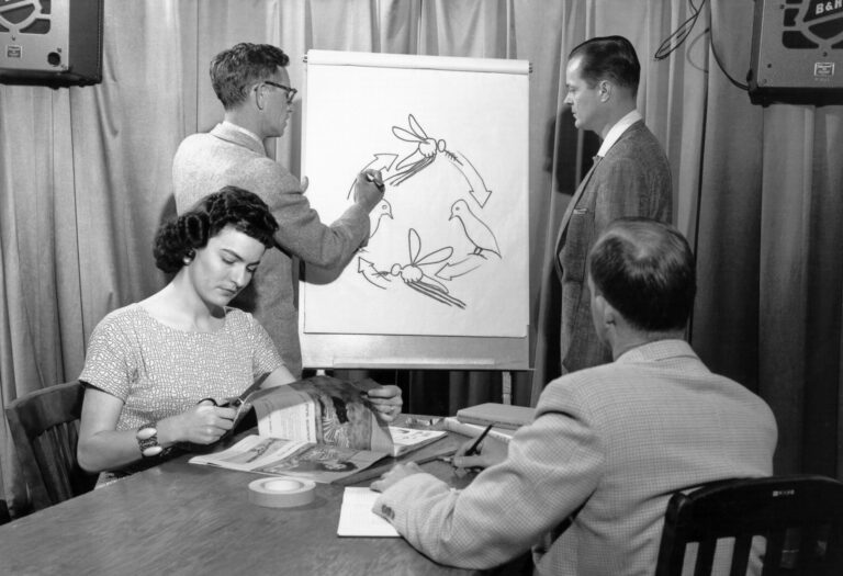 In 1958, staff members at a newly created agency called the Centers for Disease Control and Prevention practice drawing training aids for teaching about vector-borne diseases, including malaria; in this case, one staff member draws the life cycle of a mosquito on a whiteboard. Image courtesy CDC. Credit: Smith Collection/Gado/Getty Images.