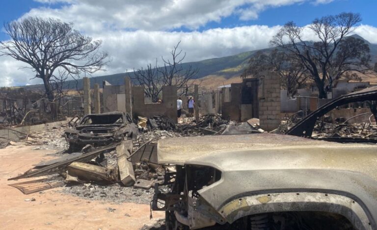 Des incendies de forêt frappent et endommagent Hawaï