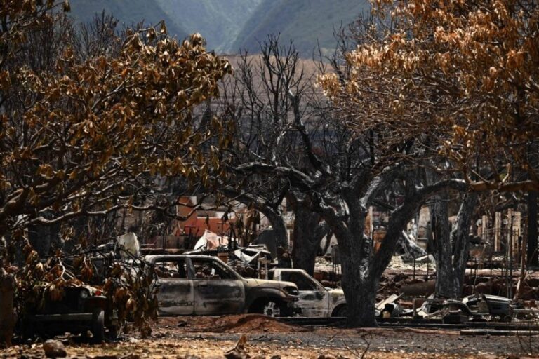 Incendies de forêt à Maui