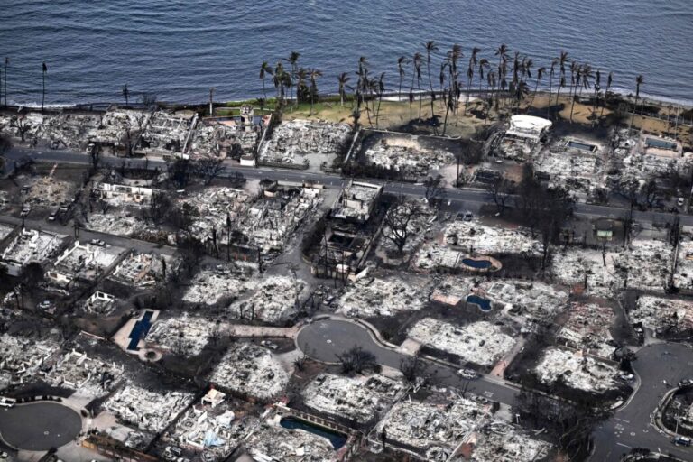 Les incendies de forêt explosent dans des endroits inattendus en raison du changement climatique.  Hawaï est-il le dernier exemple ?