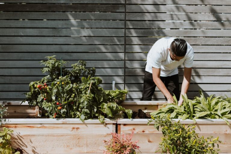 Hobby Farms: No Profits, Only Pleasure and Personal Benefits