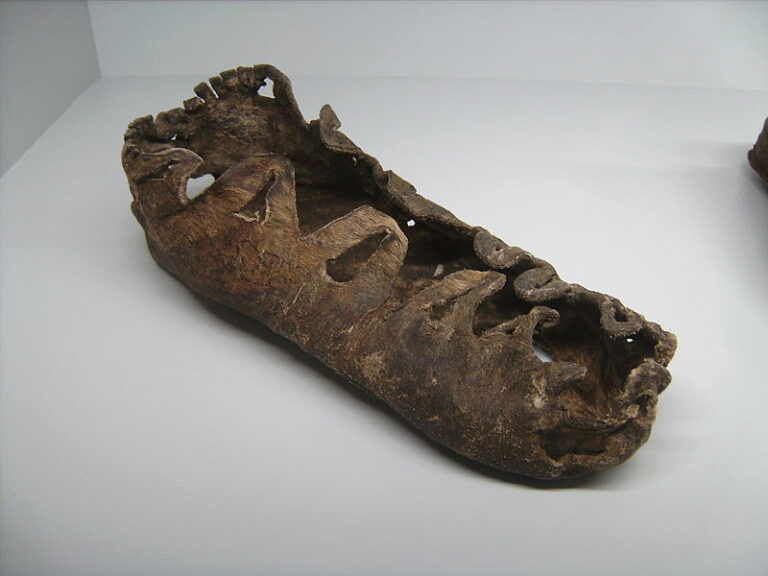 Unusual Ancient Footprints, Child
