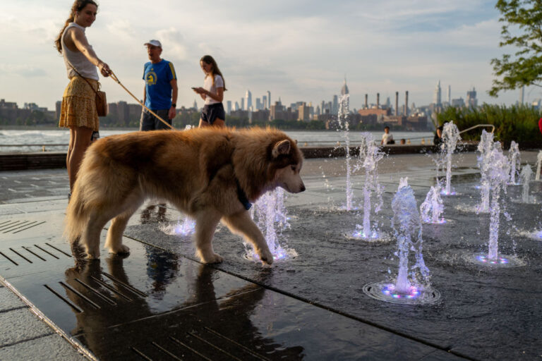 Brooklyn on a hot summer