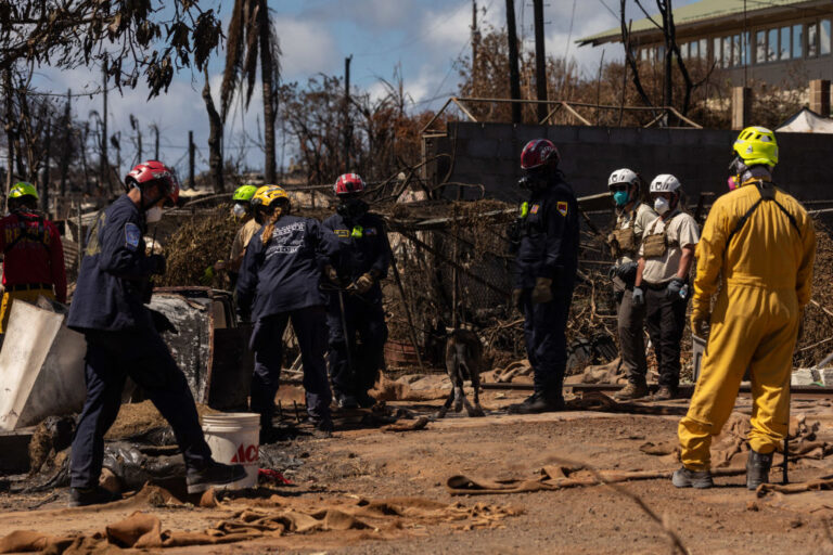 Maui wildfires