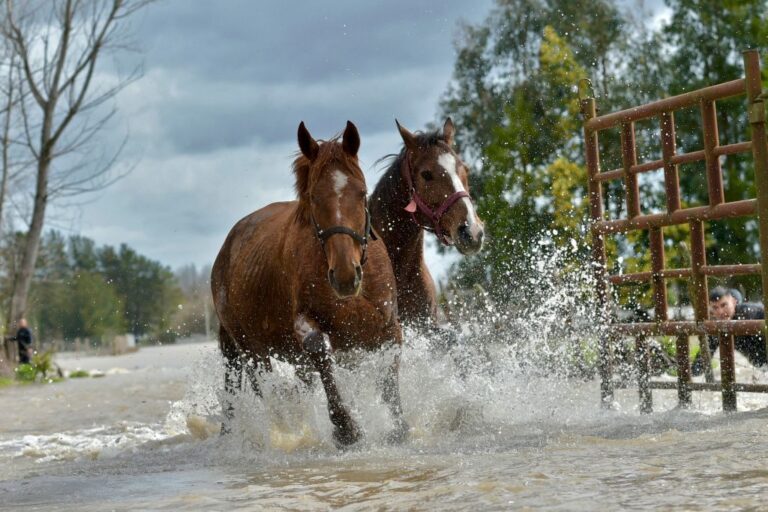 CHILE-WEATHER-FLOODS-RAIN