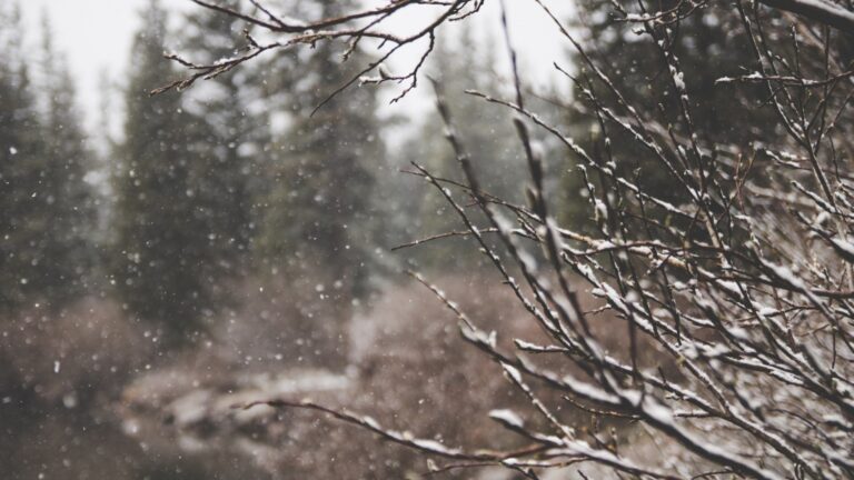 US Cold Front Forecast