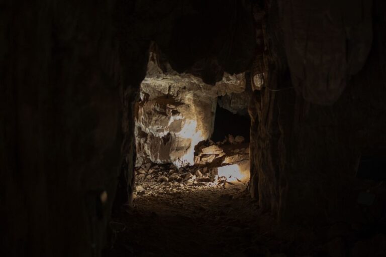 A stock photo of fossils found deep in a South African cave