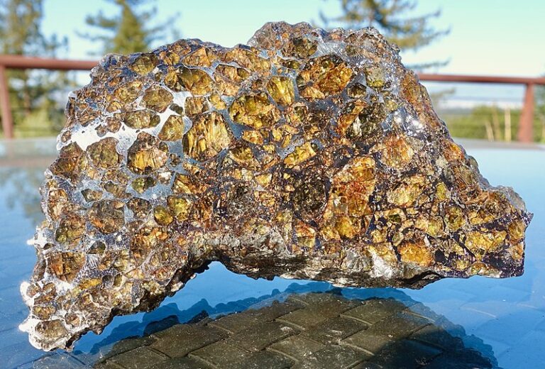 Meteorite Trove of 1800 Specimens in Yale