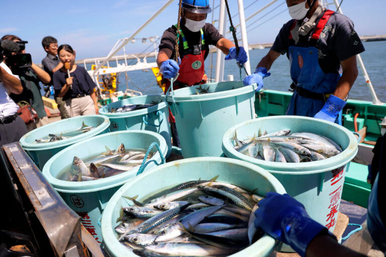 JAPAN-FUKUSHIMA-ENVIRONMENT-NUCLEAR-FOOD-WATER