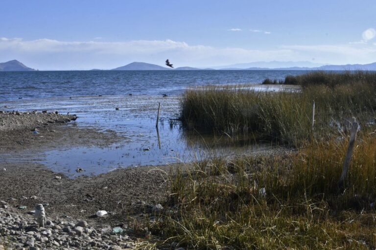 Déclin choquant du lac Titicaca affectant le tourisme, la pêche et l'agriculture