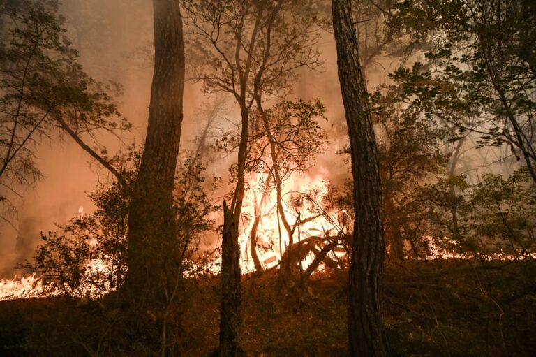 Intelligence artificielle pour détecter les incendies de forêt : la Grèce et Israël développent une détection précoce des incendies de forêt grâce à la technologie de l'IA