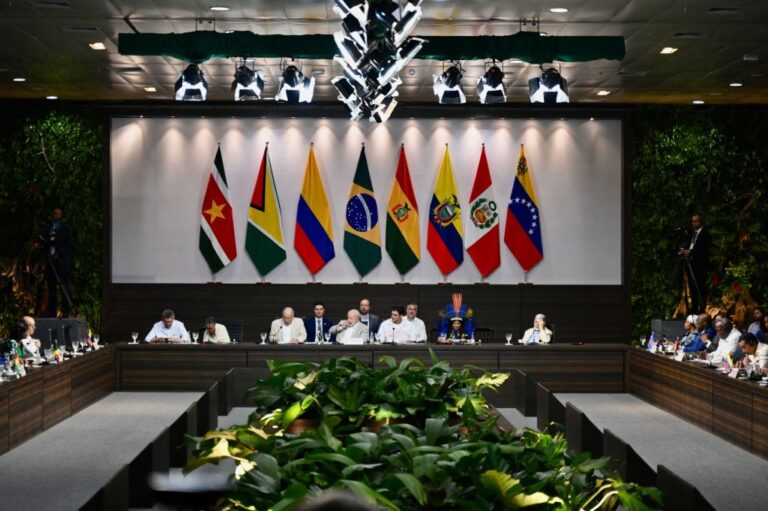 Le Brésil se réjouit alors que la déforestation en Amazonie a chuté de 66 % en août