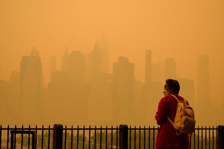 Respirer la fumée des incendies de forêt pourrait augmenter le risque de démence, selon une nouvelle étude