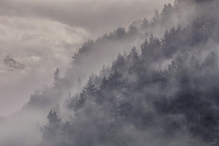 Transboundary Haze