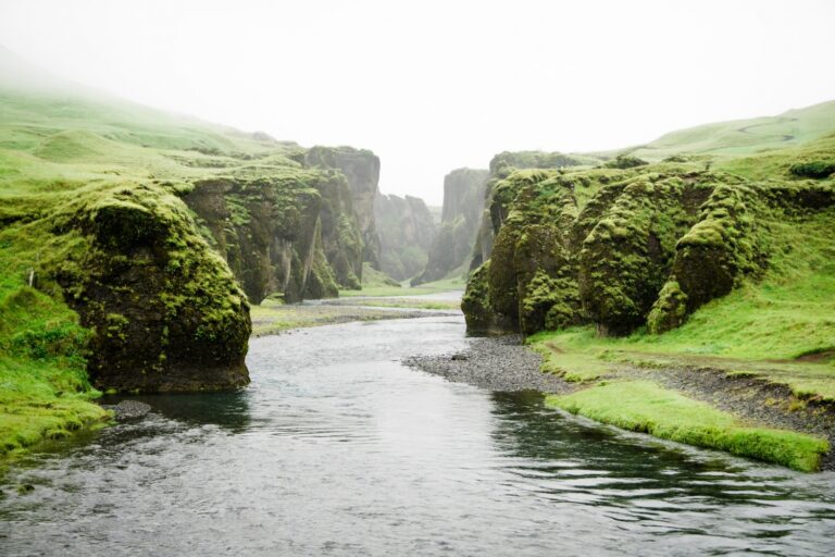 River Biodiversity