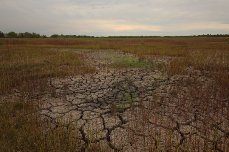 Climate Change Losses Reach $140B Per Year with Prolonged Droughts, Heatwaves, Storms
