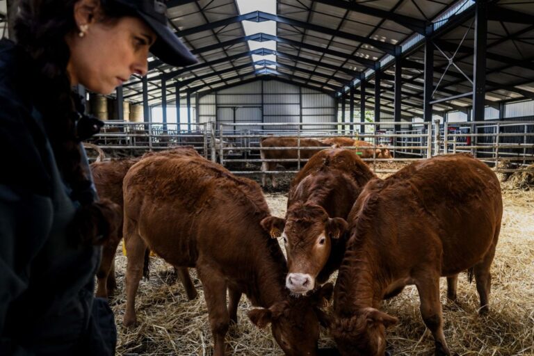 FRANCE-AGRICULTURE-ANIMALS