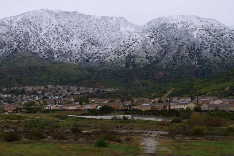 Angeles National Forest in Sylmar, California