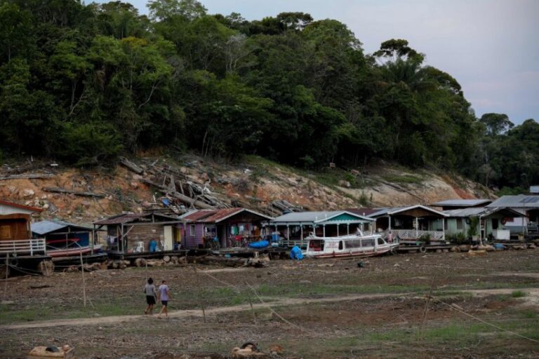 la forêt Amazonienne