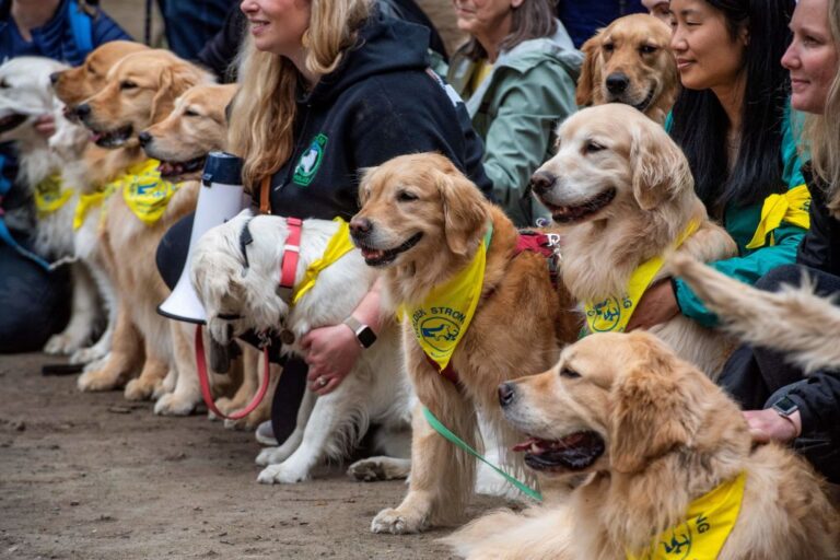 US-LIFESTYLE-DOGS-BOSTON-MARATHON