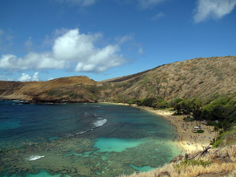 Biodiversity Along Hawaii Coastline at Risk as Landowners Pull Out Native Plants