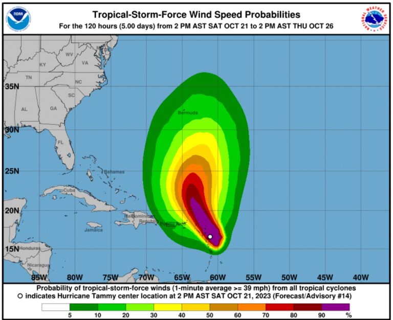 Tropical-Storm-Force Wind Speed Probabilities of Tammy